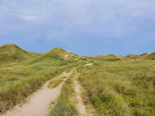 5 person holiday home in Ulfborg-By Traum - Ulfborg - 4