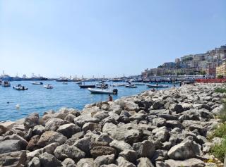 Casetta Sannazaro - 0