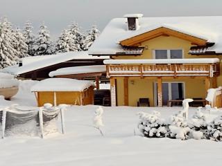 Villa with terrace, sauna near the border triangle - 2