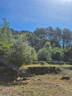 maison neuve en plein coeur des cevennes - Saint-Martin-de-Valgalgues - 5