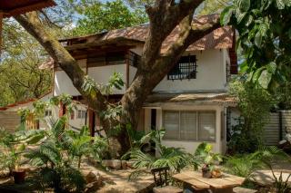 Noni Garden - Tamarindo - 0