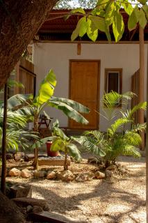 Noni Garden - Tamarindo - 4