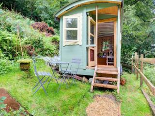 Shepherds Hut near Exmoor National Park - 5