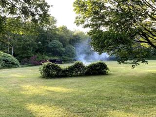 Bear Bottom Acres - Marienville - 5