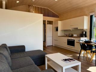 Himoskuutio 1, 4 hlö mökki porealtaalla, ei lisäkuluja! - 1