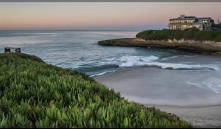 Sunny Cove Motel - 1