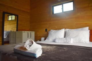 El Canto del Manglar - 1