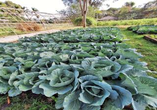 Supalai Pasak Resort Hotel And Spa - 5