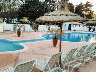 Mobil-home avec terrasse et salon de jardin - API-1-52-502 - 3