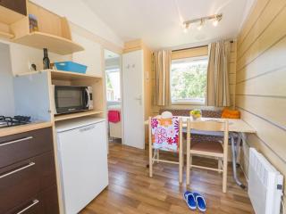 Mobil-home confortable avec terrasse à Pezuls - API-1-52-683 - 9