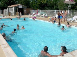 Mobil-home 4 pers avec Terrasse à Chaillé-les-Marais - API-1-52-574 - Chaillé-les-Marais - 3
