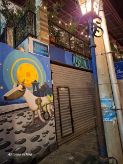 Casaca - 1