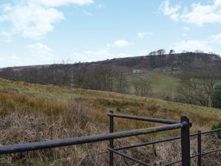 Rowan Cottage - Rosedale Abbey - 1