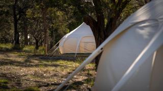 Spring Bay Mill - 5