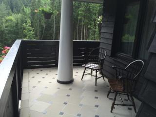 Hunting Lodge Vitkov - 5