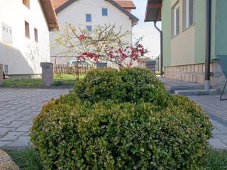 Apartman HAX - 9