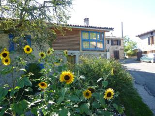 Gite Sent Martin - 0