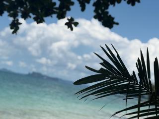 Pine Bungalow Krabi - Klong Muang Beach - 4