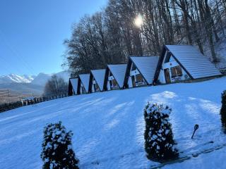 Căsuțele de sub pădure - Avrig - 7