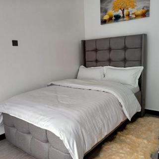 Elegant modern retreat residencies with heated swimming pool ,fully equipped gym and rooftop chillspot with amazing breathtaking city views - Nairobi - 1
