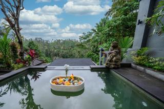 Ellena Resort - 4