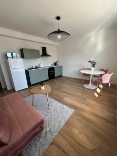 Le Romane- appartement T2 proche centre-ville et parking gratuit - 9