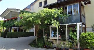 Zum Rebberg Ferienwohnungen - Freiburg im Breisgau - 3