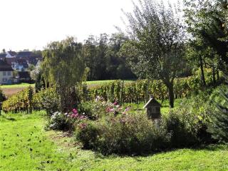 Zum Rebberg Ferienwohnungen - 4