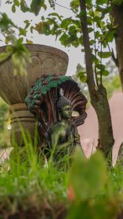 Willostays Cloudhill ooty - 8