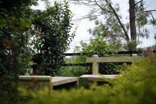 Willostays Cloudhill ooty - 6