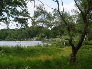 Luxury Lakeside Retreat-By Traum - 2