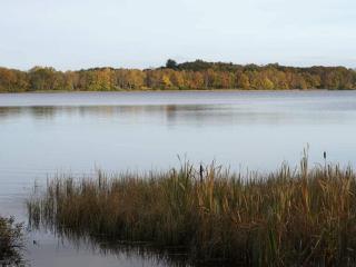 Luxury Lakeside Retreat-By Traum - 4