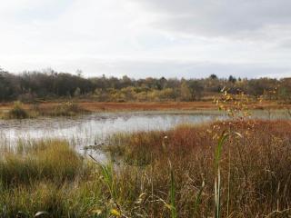 Luxury Lakeside Retreat-By Traum - 3