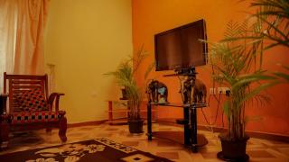 Willostays Cloudhill ooty - 5