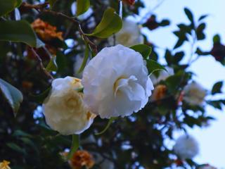 Glory Hill Lodge - 9