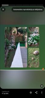 Apartmani Gaga - Bibinje - 5