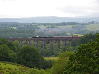 Llanerchindda Farm Guest House - 3