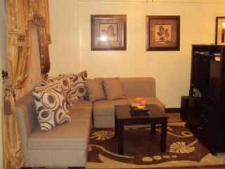Tropical Hawaiian 2BR Condo Unit in Metro Manila with Laundry Area - Sleeps 4 - Manila - 9