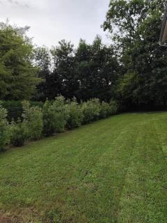 Appartement atypique chaleureux - 5