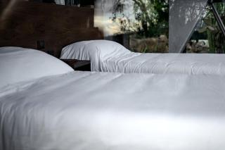 Luxurious Dome Rental Ideal for Glamping in Mexico - 5