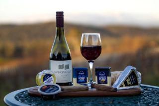 Bespoke Dome Perfect for a Couples Getaway in Tasmania - 8