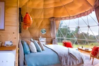 Incredible Dome Getaway on a Vineyard Perfect for Glamping, Tasmania - 9