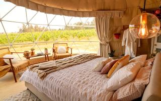 Bespoke Dome Perfect for a Couples Getaway in Tasmania - 2