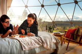 Incredible Dome Getaway on a Vineyard Perfect for Glamping, Tasmania - 7
