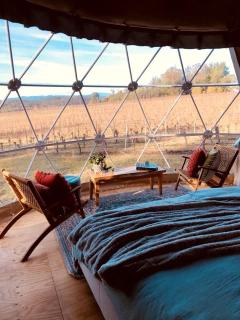 Incredible Dome Getaway on a Vineyard Perfect for Glamping, Tasmania - 5