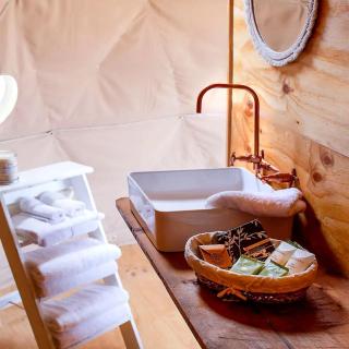 Incredible Dome Getaway on a Vineyard Perfect for Glamping, Tasmania - 4