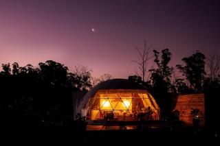 Domescapes in the Vines, a Unique Vineyard Escape, Tasmania, Australia - 3