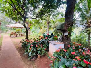 Wow Field Homestay - 5