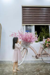 Avina Hotel Đắk Nông - - 8