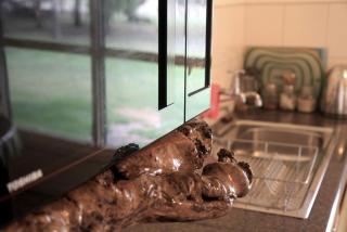 Charming Cottage Rental Tucked Away in the Countryside near Mount Gambier, South Australia - 9